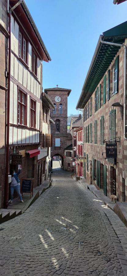 Gite Ultreia Vertes Montagnes Saint-Jean-Pied-de-Port Exterior photo